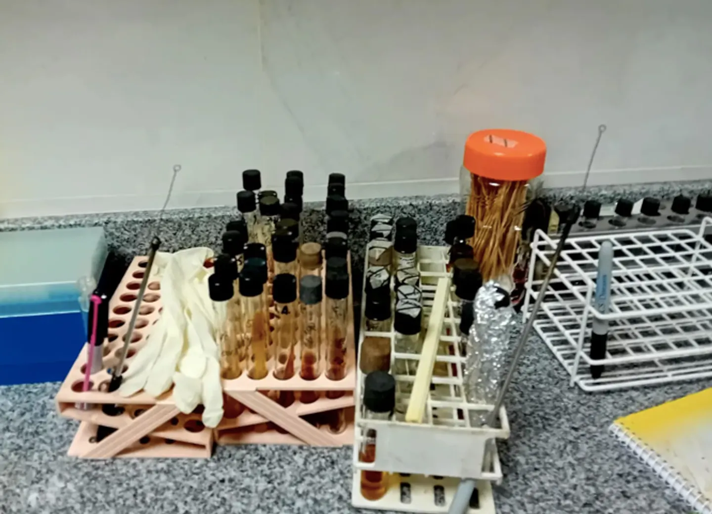 Additional image 1 for Medical laboratory visit in USAL main building