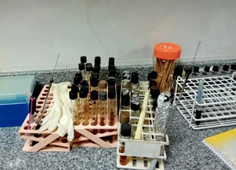 Additional image 1 for Medical laboratory visit in USAL main building